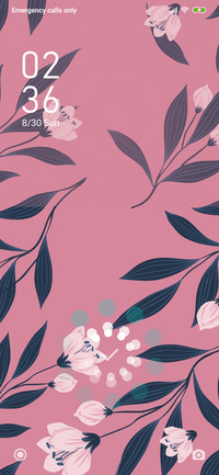 Floral Pink_3MDS