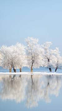 Winter landscape