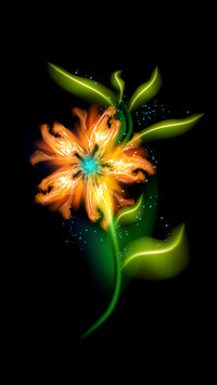 火焰的花朵-拍信图库