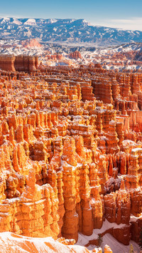 Bryce canyon after snowfall