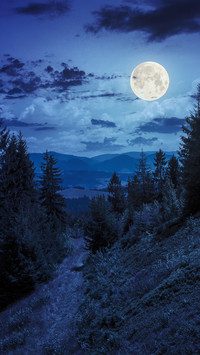 Moon