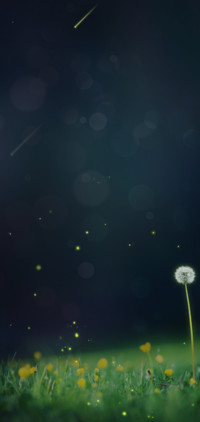 萤火之夜 护目