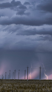 Lightning storm over the field during sunset