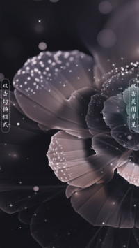 闭月羞花
