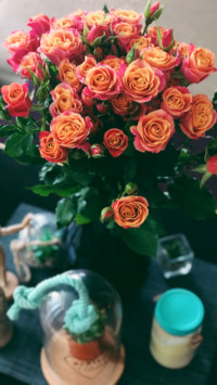 Roses and Lilacs (1)