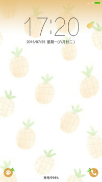 夏日小清新の大菠萝