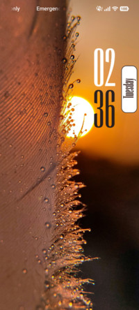 Water Drops