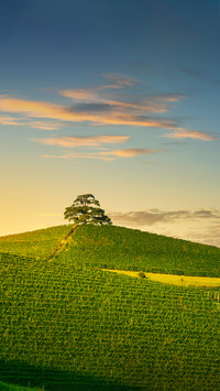 Romantic landscapes of Europe