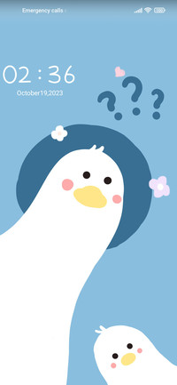 Probe duck