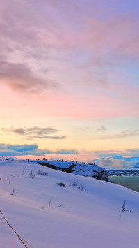 Troms  pink blue sky