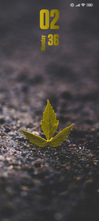 Leaf