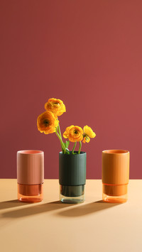 Vase of Flower on Color Background with Shadow