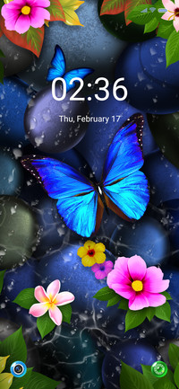 Spring Butterfly