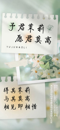 予君茉莉 愿君莫离