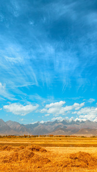 Autumn Scenery of Wheat Fields in Menyuan, Qinghai