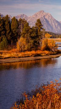 Autumn grand teton national park