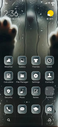 Rain cat