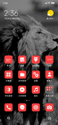 Lion - Monochrome_3MDS