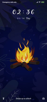 Bonfire_3MDS