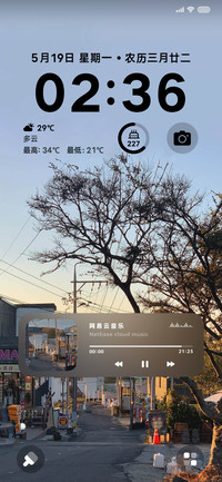 黄昏街道 树影落日