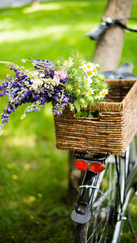 Good scenery in spring-03