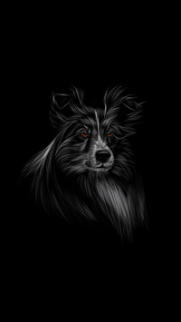 狗狗先生-拍信图库