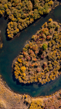The autumn water tints the maple leaves in color