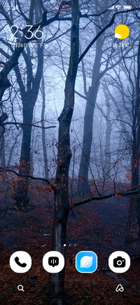 Misty Depths
