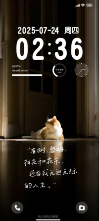 人生小猫