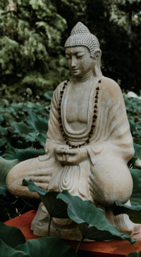 Spiritual (44)