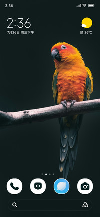 Sunset Parrot