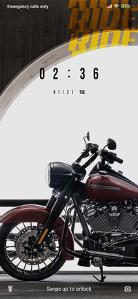 Bike Rider - Modern_3MDS