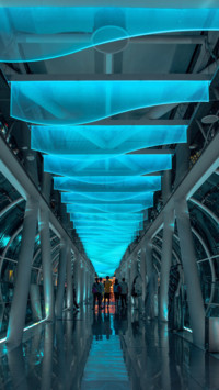 Blue (6)
