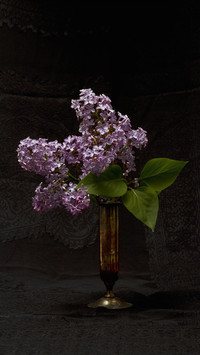 丁香花与文人墨客