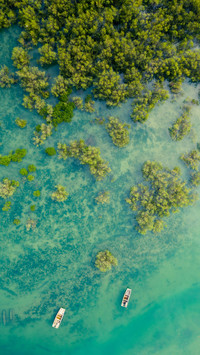 The spring wetland landscape of xiamen