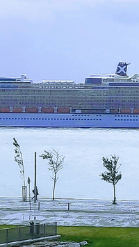 landing-0246