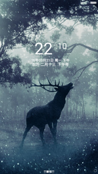 森林密语