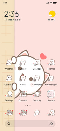 Miss peach cat