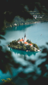 Bird's eye View (7)
