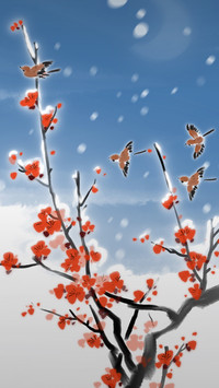 古诗词里的清绝梅花