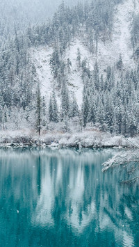 The snowcovered forests and the sapphire blue lake