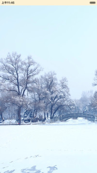 认真的雪