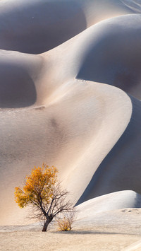 Deserts are not places where life is extinct 3