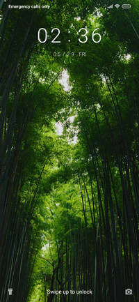 BambooForest_3MDS