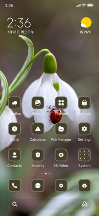 Bug
