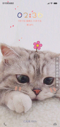 可爱喵喵