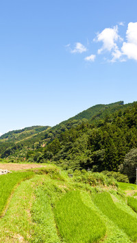 田园风光——拍信图库