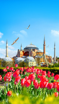 Romantic Turkey