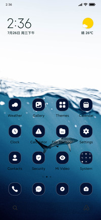 Dolphin