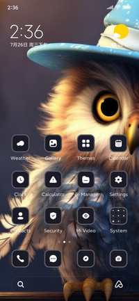 Owl
